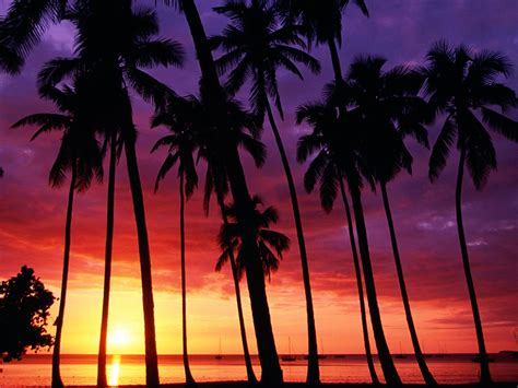 Tropical Beach Sunset Hd Wallpapers Top Free Tropical Beach Sunset Hd