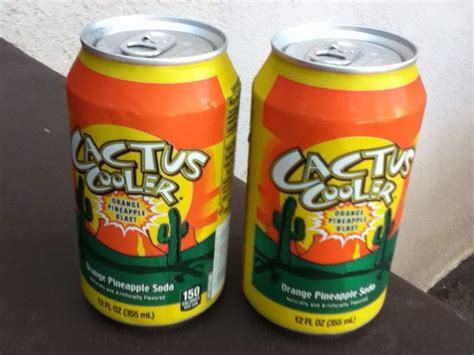 Whatever your current situation in life, this dancing cactus plush toy can definitely bring you joy and laughter with the quirky way it sings and dances! Scott's Blog: Cactus Cooler