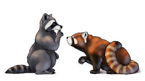Maybe you would like to learn more about one of these? How to Draw Animals: Red Pandas and Raccoons