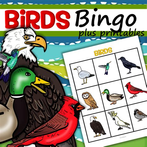 Birds Bingo Plus Printables For Preschool And Pre K
