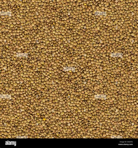Brown Lentils Background Seamless Texture Stock Photo Alamy