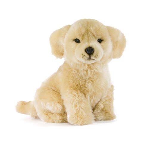 Plush Toy Golden Retriever Wow Blog