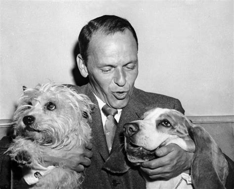Frank Sinatra K9 Friends Dog People Celebrity Dogs Animals
