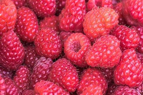Ukuran kelenjar ini sekitar 1,25 cm dan beratnya 0,5 gram. 6 Makanan Peninggi Badan