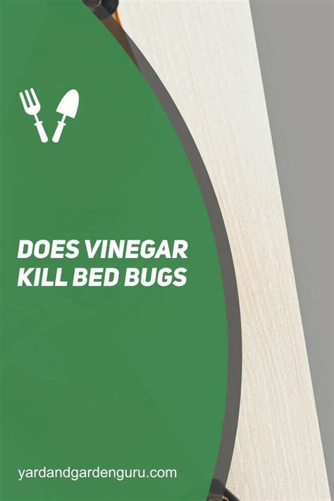 Does Vinegar Kill Bed Bugs