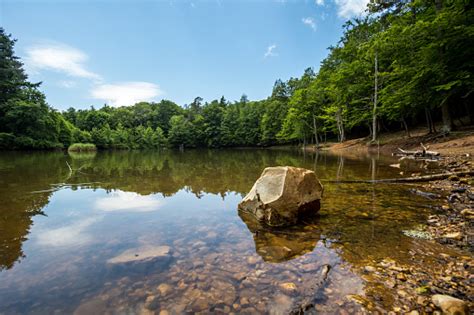 A Picturesque Small Lake Stock Photo Download Image Now Istock