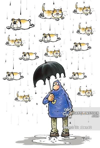 Raining Cats And Dogs Artist Besley Rupert Humor Rain Funny