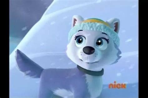 Everest New Paw Patrol Pup Paw Patrol Pups Everest Paw Patrol Paw