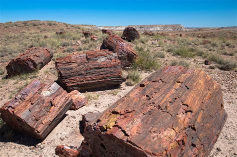 Petrified Forest National Park Photo America