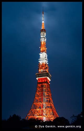 Tokyo Tower At Night Shiba Park Minato Tokyo Kanto Reg Flickr