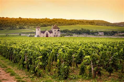 Top 10 Of The Prettiest Wine Regions In France Globalgrasshopper
