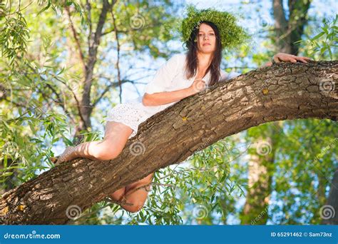 Beautiful Woman Lying On Tree In Forest Stock Photo Image Of Beauty