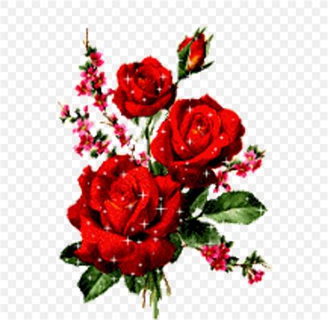 Rose Flower Animation Png 800x800px Rose Animation Artificial