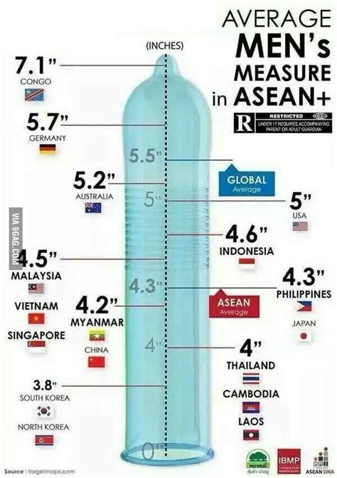 Average Penis Sizes Of All Around The World 9gag
