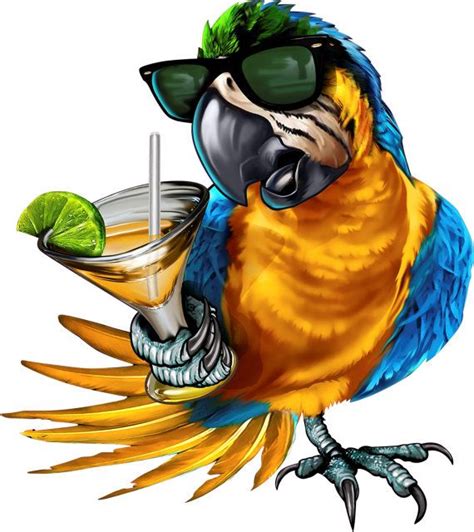 5 Oclock Somewhere Decal Full Color Parrot Decal Etsy Parrots Art