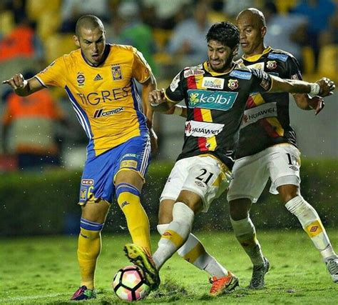 Tigres Vs Herediano Concacaf Jorge Tigres Torres