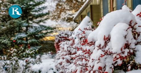 Winter Landscaping Ideas