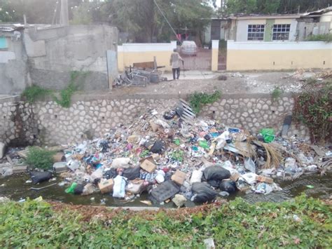 Environmental Degradation In Cassava Piece Jamaica Vision Newspaper
