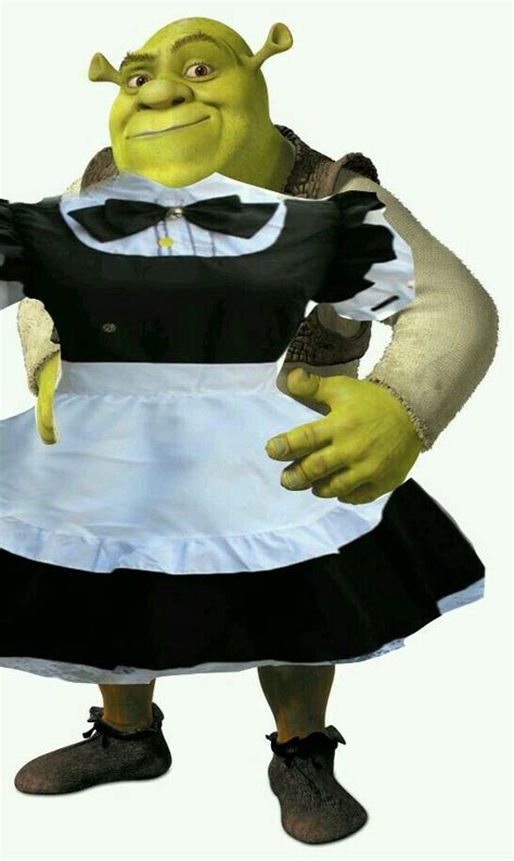 Shrek In A Maid Dress Shrek Memes Shrek Shrek Funny