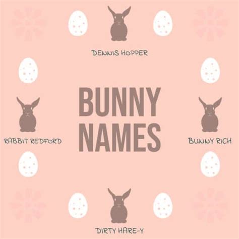 173 Bunny Names To Make A Rabbit Proud To Call A Hutch Home