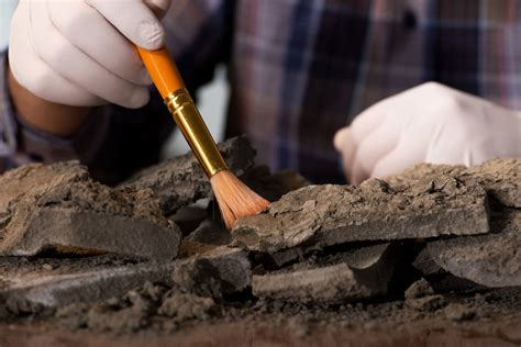 Definición de Arqueología - Qué es y Concepto
