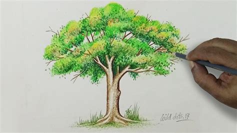 Tree Drawing A Tree With Simple Colored Pencils Tree Drawing