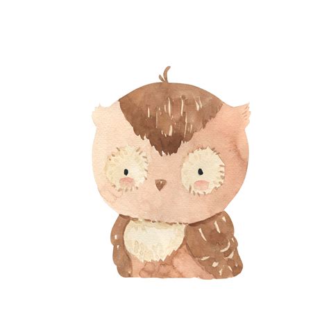 Top 99 Hình ảnh Chibi Cute Owl Drawing đẹp Nhất Tải Miễn Phí