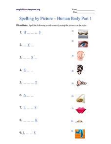 The human body grade 1—1. Spelling by Picture -- Human Body Part 1 2nd - Higher Ed ...