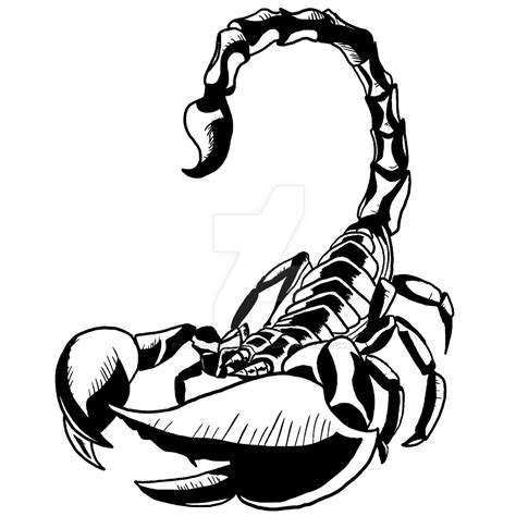 Scorpion Tattoo PNG HD Image PNG All PNG All