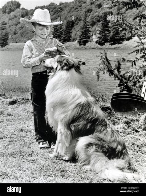 Tommy Rettig As Jeff Miller With Lassie In The 1955 Cbs Tv Series Stock