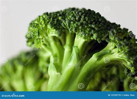 Broccoli 5 Photo Stock Image Du Vitamines Frais Couleurs 13159770