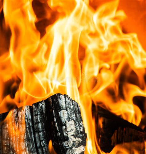 A Fire Burns In A Fireplace Stock Photo Image Of Warm Burn 264159320