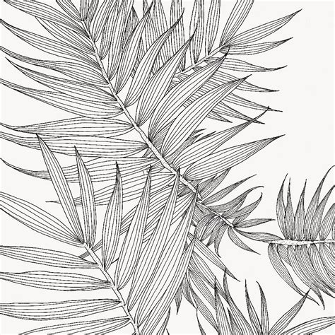 Как нарисовать листья пальмы Смотреть 18 фото бесплатно