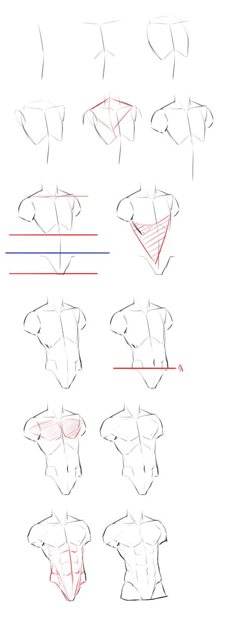 How To Draw Human Figure Drawing Male Torso Easy For