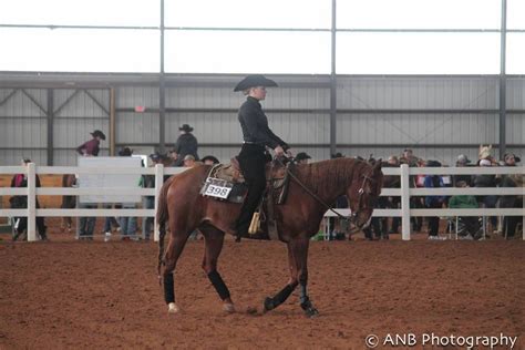 Western Horsemanship Care Training Performance