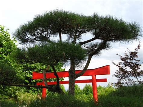 Schlichte galerie ist eine stark individualisierbare offline bilder bearbeiten galerie. Japanischer Garten, typisch sind schlichte Elemente mit ...
