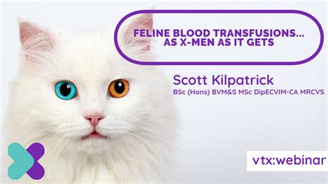 Feline Blood Transfusions As X Men As It Gets Vtx Cpd