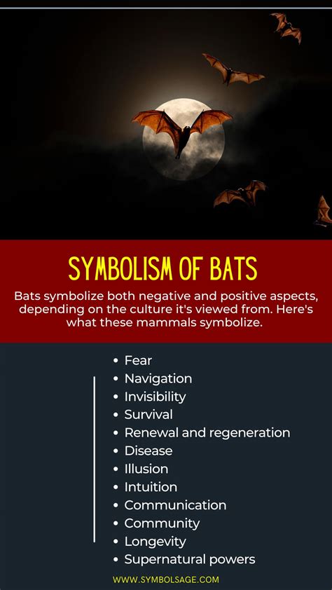 The Surprising Symbolism Of Bats Symbol Sage