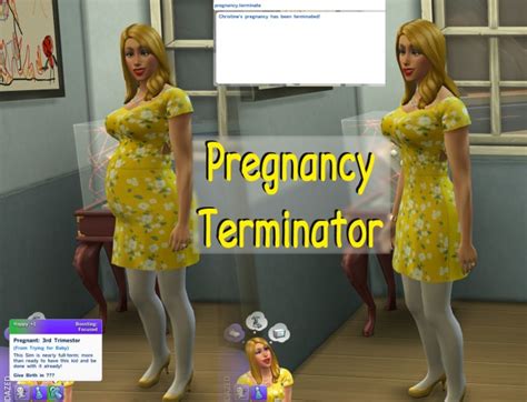 Sims 4 Pregnancy Rig