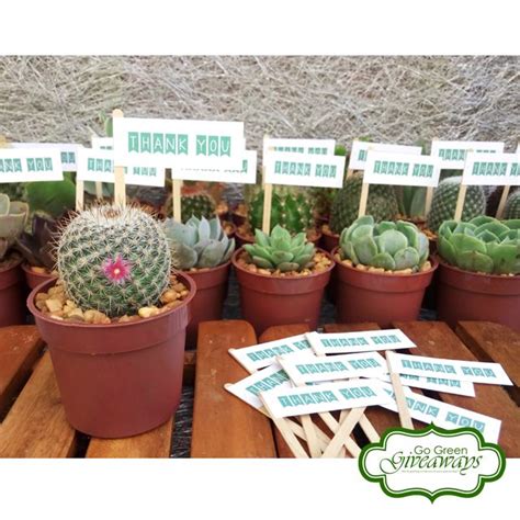 I find it quite ridiculous how we need cacti green to upgrade minions but can't add cacti to our collection as we. Pin by Go Green Giveaways on Cactus Wedding Giveaways ...