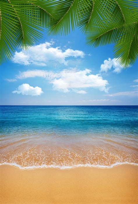 Buy Aofoto 5x7ft Tropical Beach Sand Backdrop Palm Tree Leaves Hawaiian