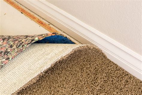 What Is The Best Carpet For A Basement Basement Carpet Ideas
