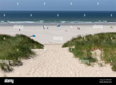 Sand Path Leading To Beach Dutch Coast Of North Sea Stock Photo Alamy