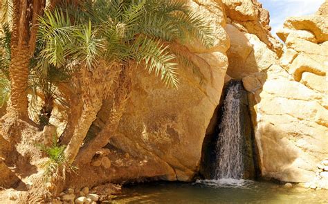 Accueil Office National Du Tourisme Tunisien Waterfall Oasis Tunisia
