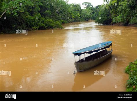 Canoe Moored Beside The Rio Tiputini In The Ecuadorian Amazon Stock