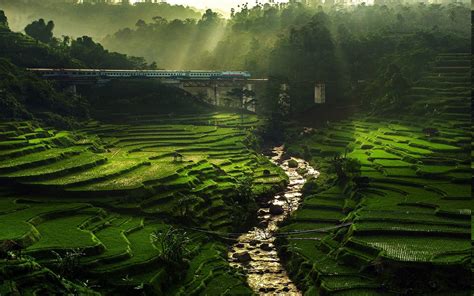 Mountain Vietnam Sunlight Landscape Sun Rays Terraces Rice Paddy Nature