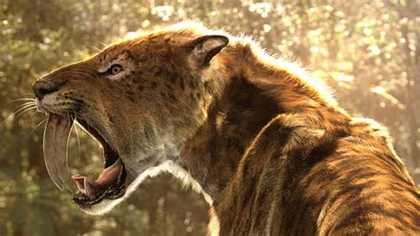 Hd Wallpaper Movie 10000 Bc Saber Toothed Tiger Wallpaper Flare