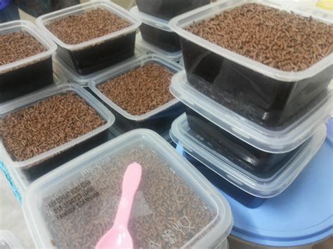 Resepi kek coklat moist versi bakar ini sukatan cawan sahaja mudah untuk dihasilkan. Me Is DaleDilla: DoorGift : Kek Coklat Moist (Murah ...