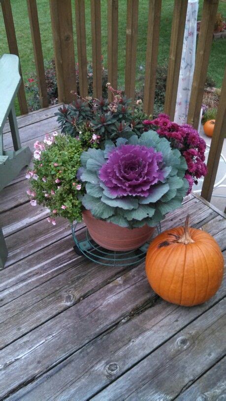Love Kale For Fall Containers Fall Container Gardens Fall