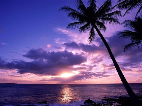 12 Tropical Beach Paradise Sunset Wallpapers
